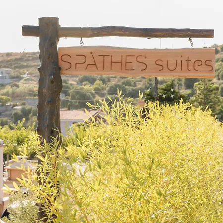 Willa Spathes Kefalonia, Romantic Private Escape With Infinity Pool & Sea Views *